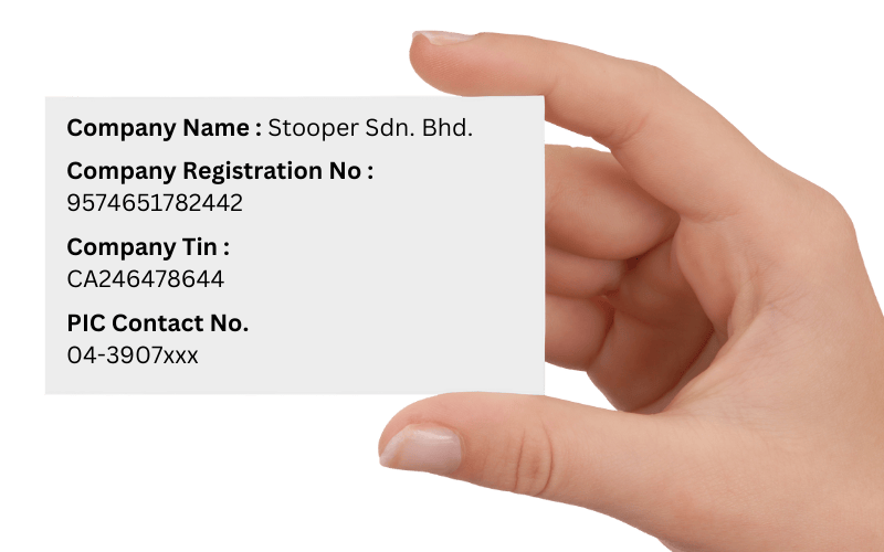 公司 e-Invoice card 示例
