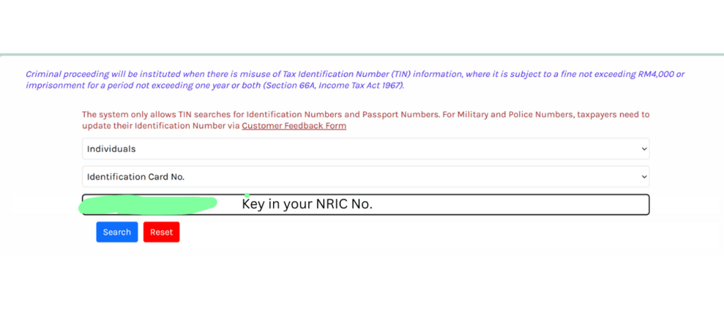 输入 NRIC 查询 TIN